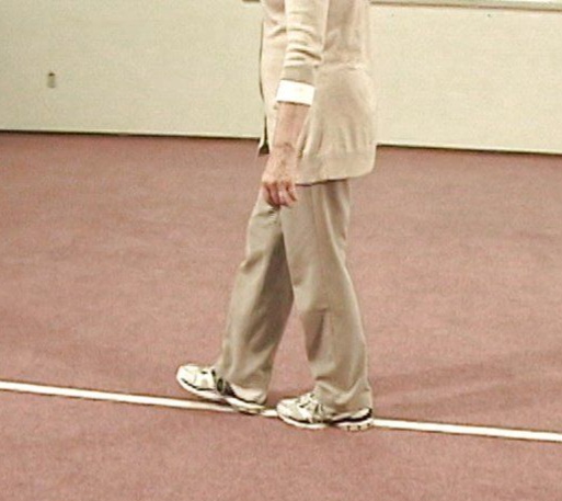 Walking Training